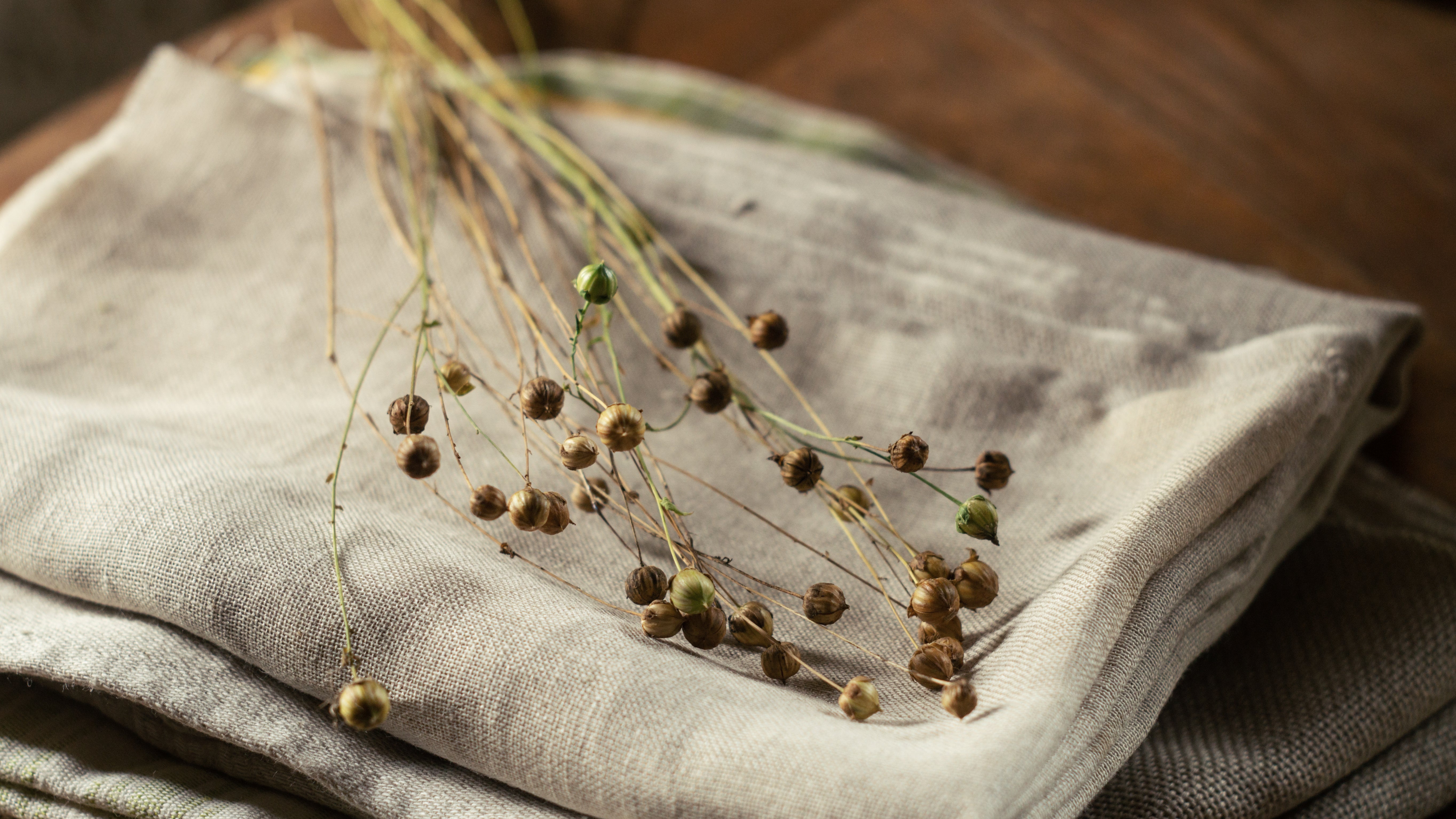 5 Reason why to wear linen every day